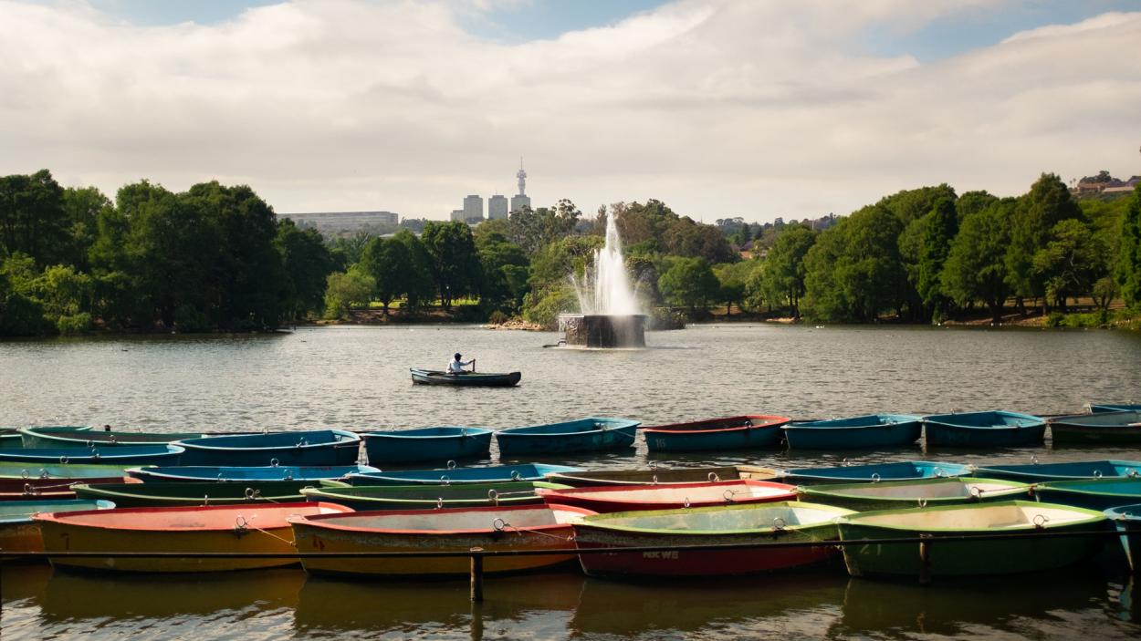 vibes of Johannesburg Outdoor Family-Friendly Fun 