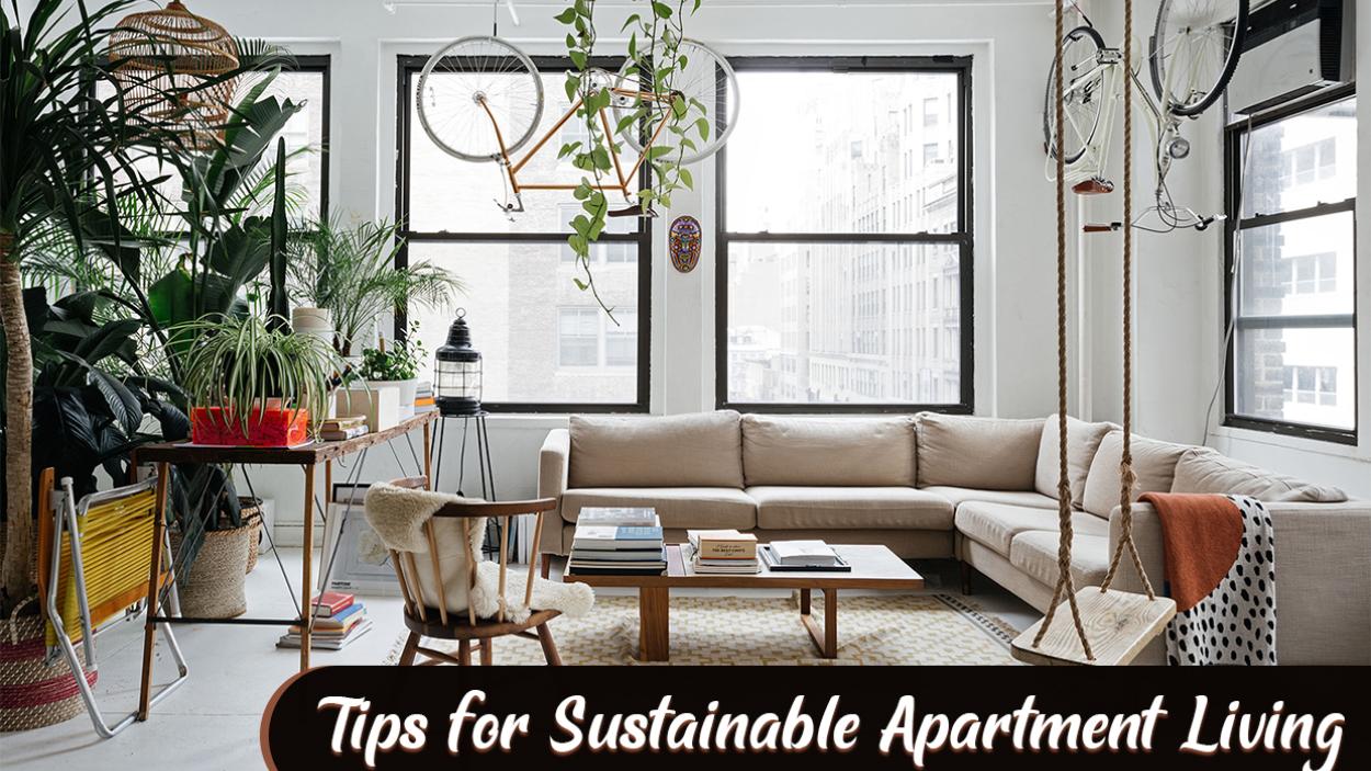 Your Guide to Sustainable Living in a Jozi Apartment