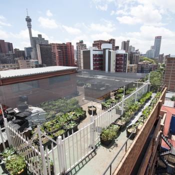 rooftop image of lake success