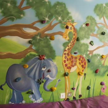 lake success climbing wall