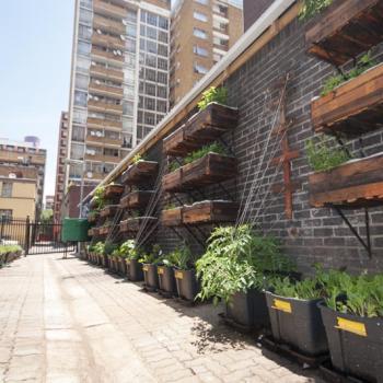 Image of Sylvadale exterior